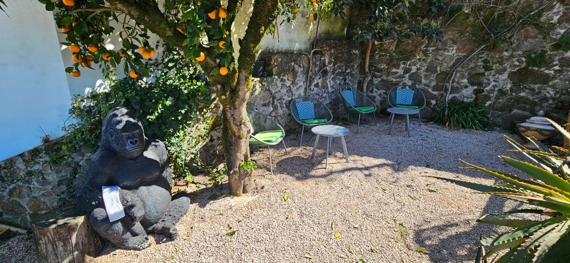 Casa Belavista Penela - Charming Guest House - Adults Only Exterior photo